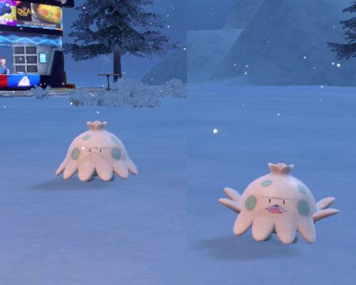 Two Shroomish in the snow